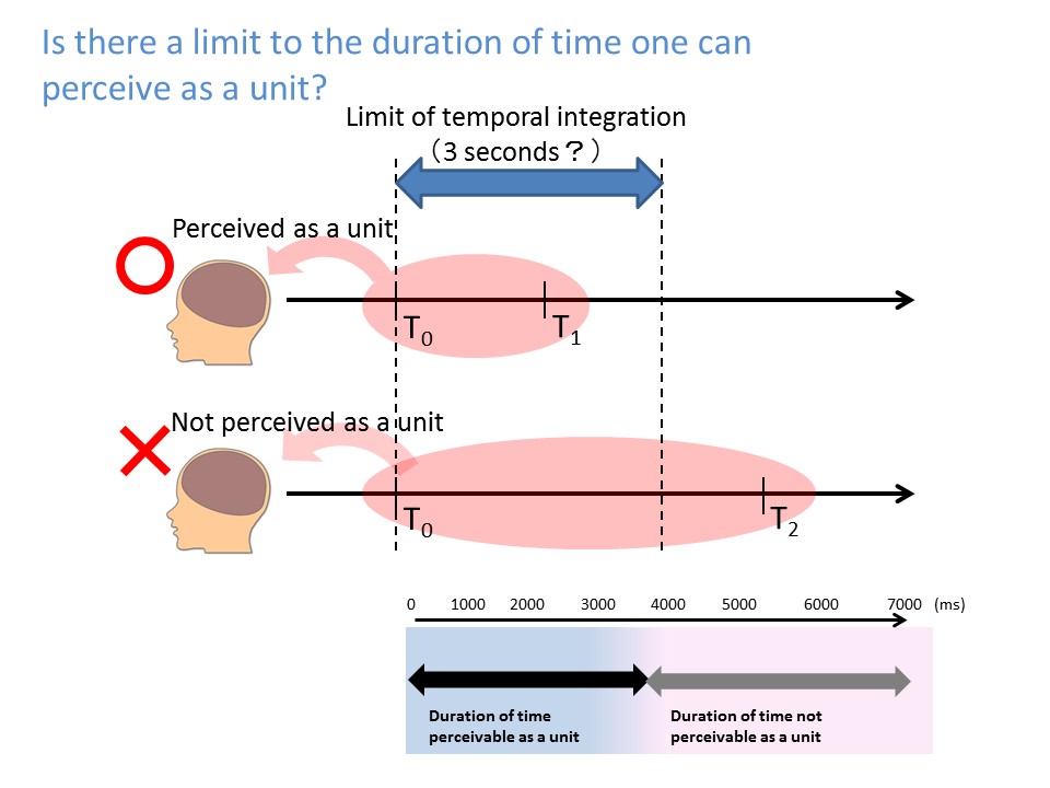 A multimodal approach to studying the brain mechanism responsible for processing the perceptual unit of time  and the “subjective present”